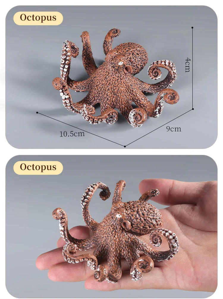 Pädagogische Marine Molluscs ModelToys – Simulation Tintenfisch Oktopus Wachstumszyklus Actionfigur für Kinder Sealife Animal Collection – Detail 6