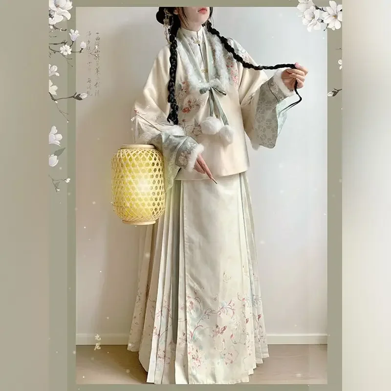 Robe Hanfu d'hiver pour femme, manteau brodé, haut à manches longues, jupe face cheval imprimée, costume chinois Hanfu, sourire beige, vert