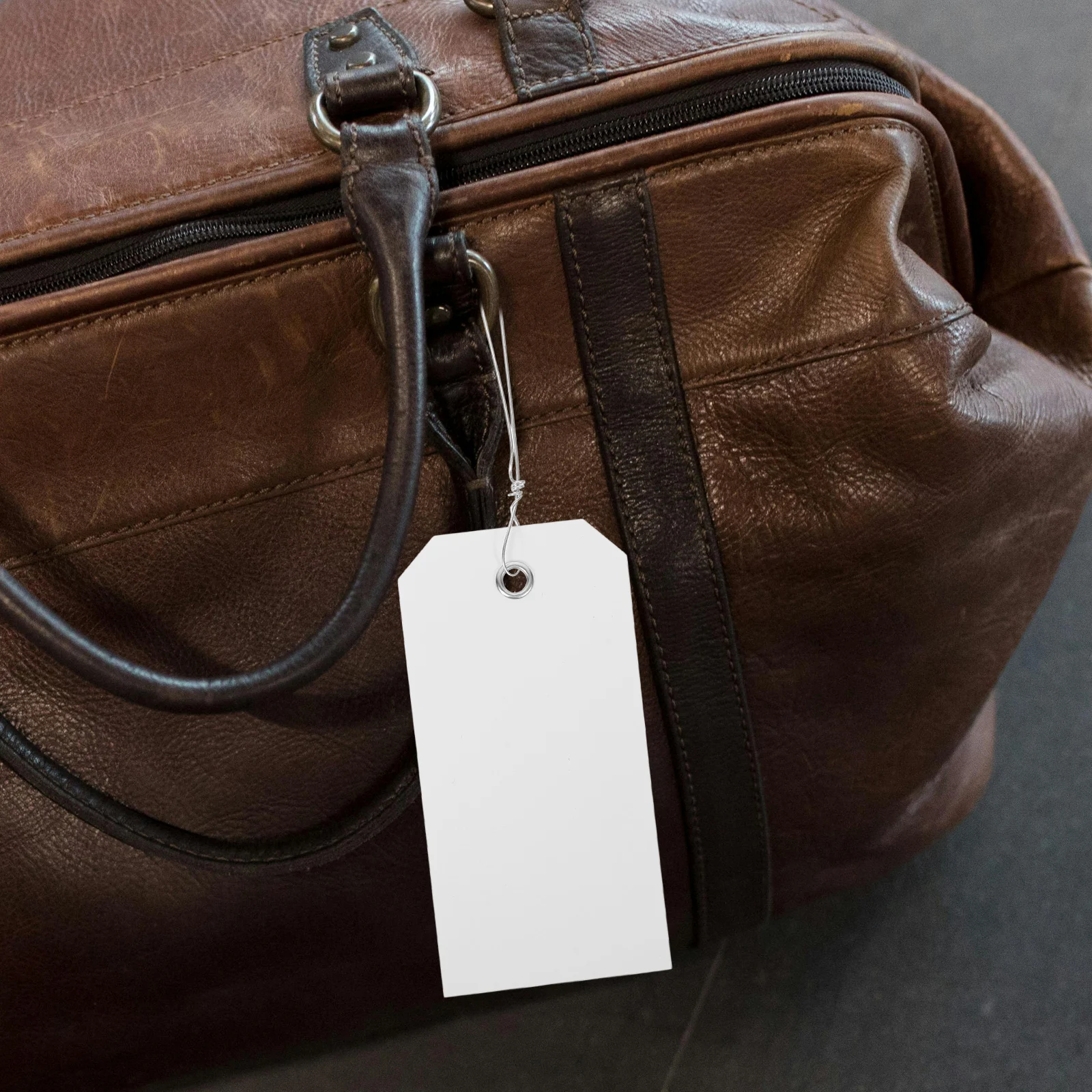 

100pcs PVC Blank Shipping Inventory Product Luggage Cable Plant Reusable Sturdy Plastic Metal Eyelets Airplane Travel Essentials