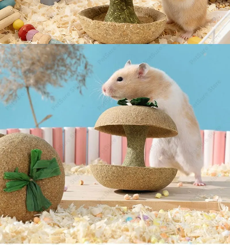 Hamster Chew Toys for Teeth & Natural Timothy Grass Bunny Treats Sf62949a0214541c18a443aab05cd61ccj
