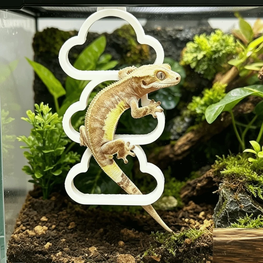 Pet Supplies Hanging Reptile Climbing Ring Plastic Multi-Level 3-Ring Climber Cloud Shape Exercise Climbing Hoop Chain Habitat