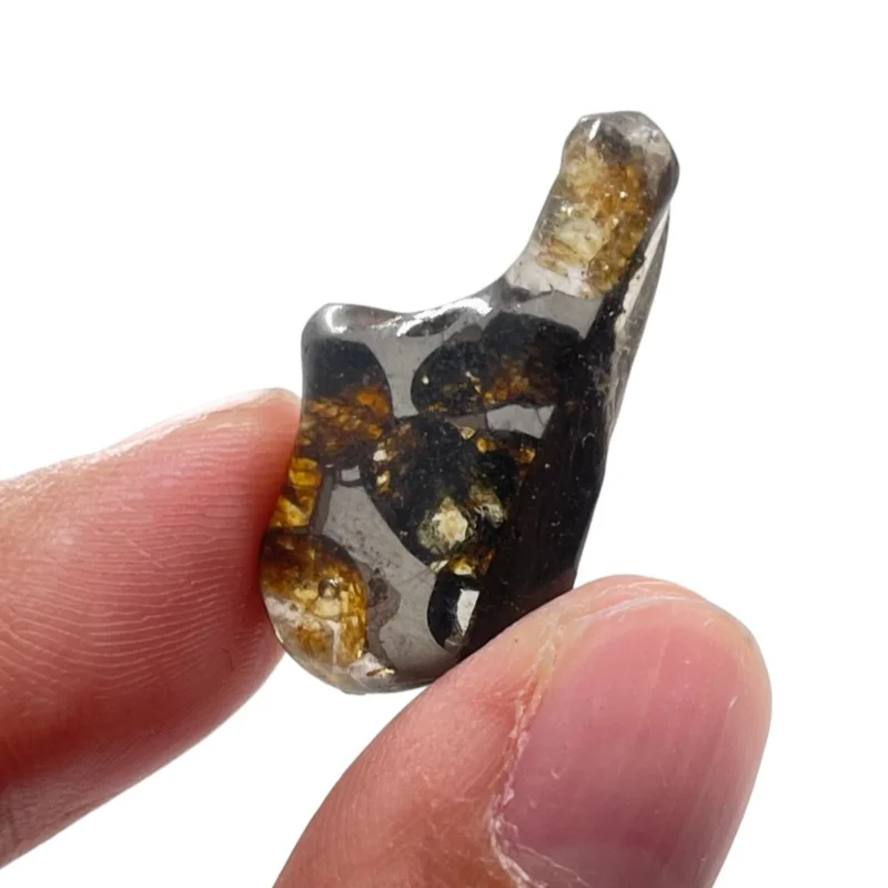 Seymchan Pallasite Meteorite Polished Freeform Specimen Natural Olivine Iron Meteorite Astronomy Collection -QC930