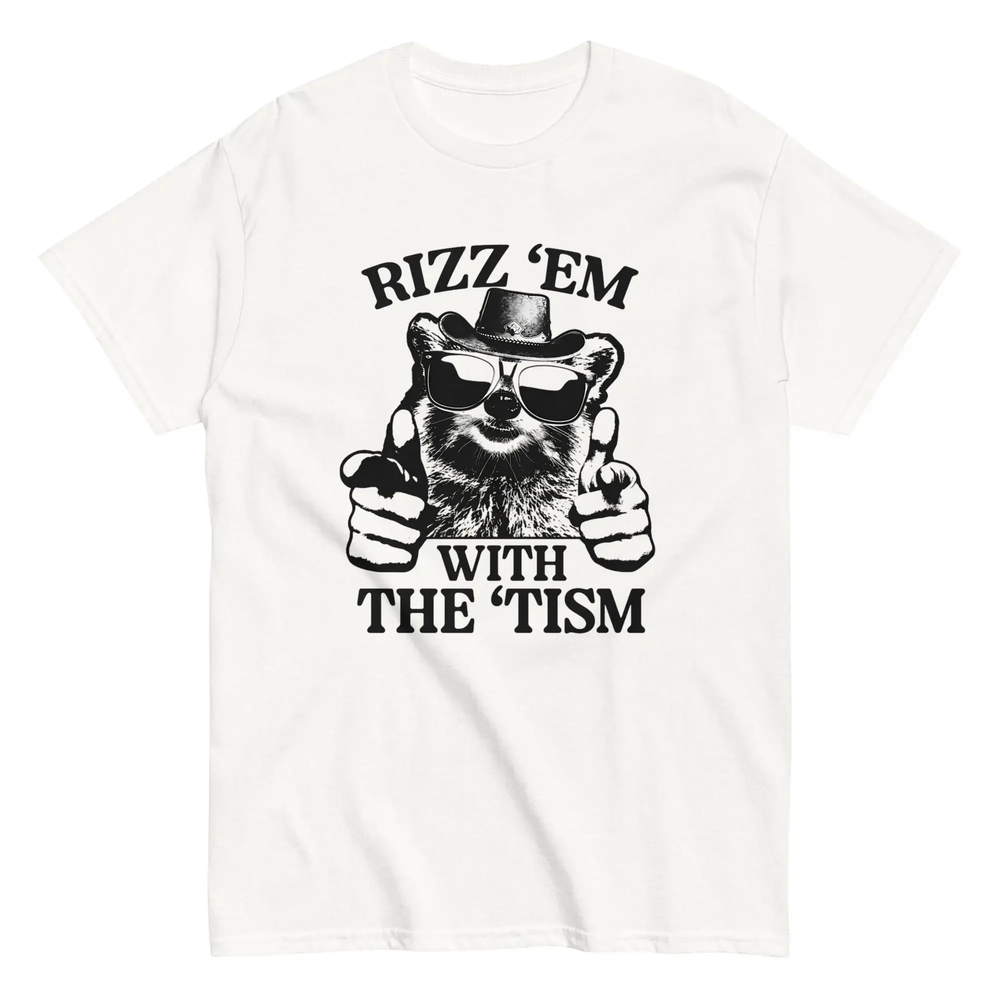 Rizz Em With The Tism Cooles T-Shirt