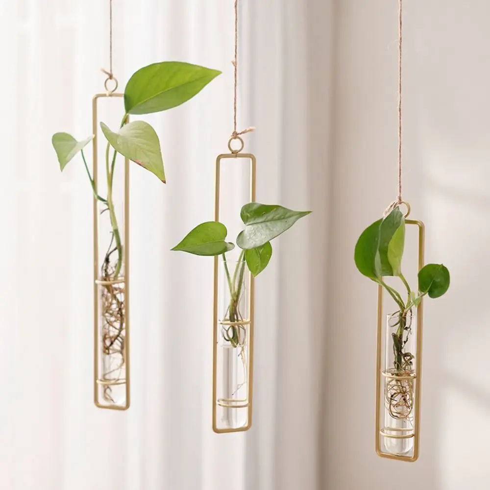Creative Glass Vase Home Living Room Wall Hanging Creative Hydroponic Plant Vase Nordic Decorative Transparent Flower Pot
