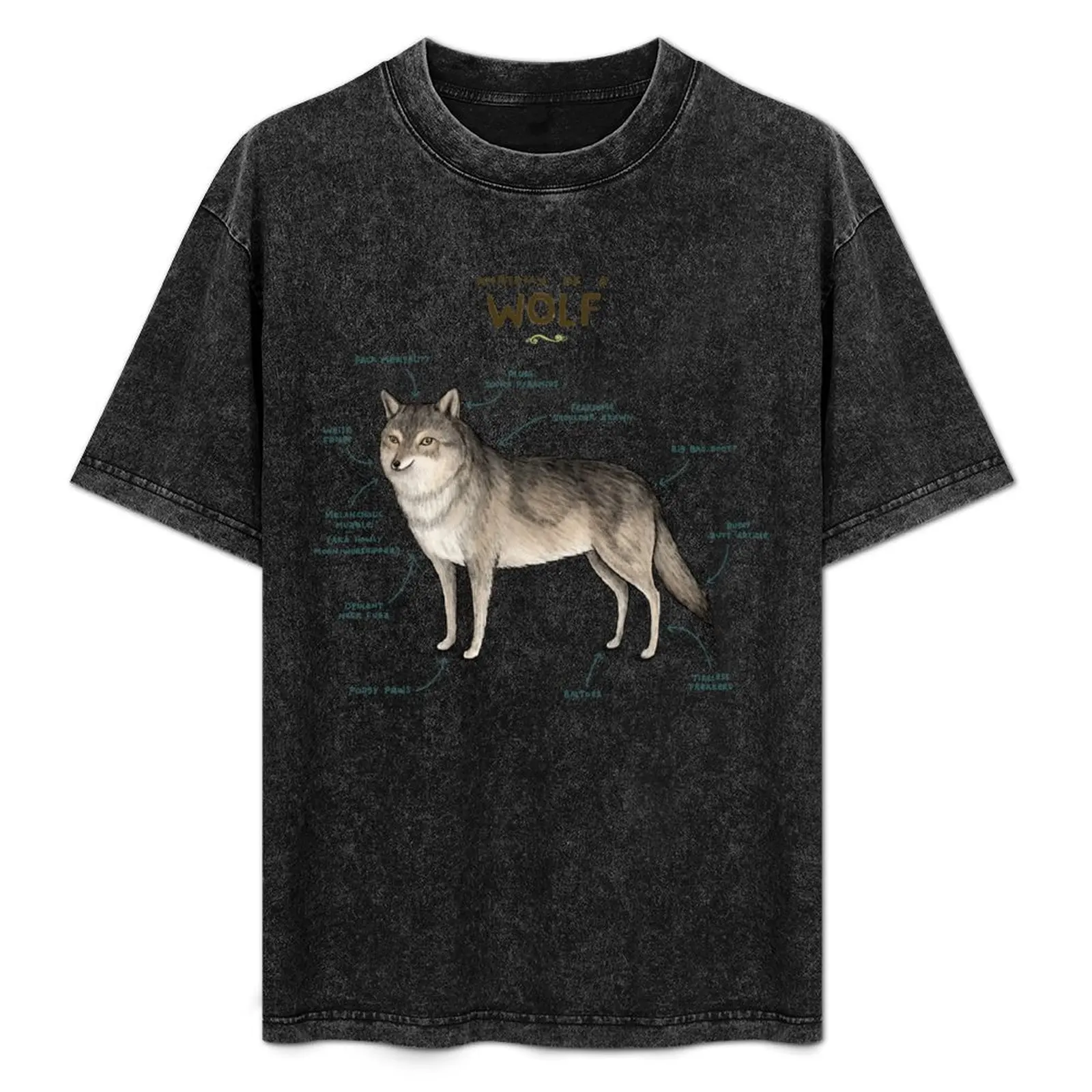

Anatomy of a Wolf T-Shirt blacks tees graphic t shirts summer clothes men t shirts