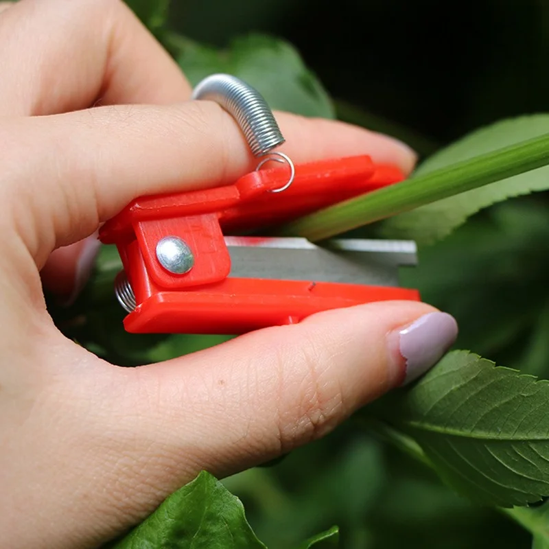 Garden Thumb Pruning Shears - Finger Harvesting Knife for Grape Vegetable Leaf Cutting Tool