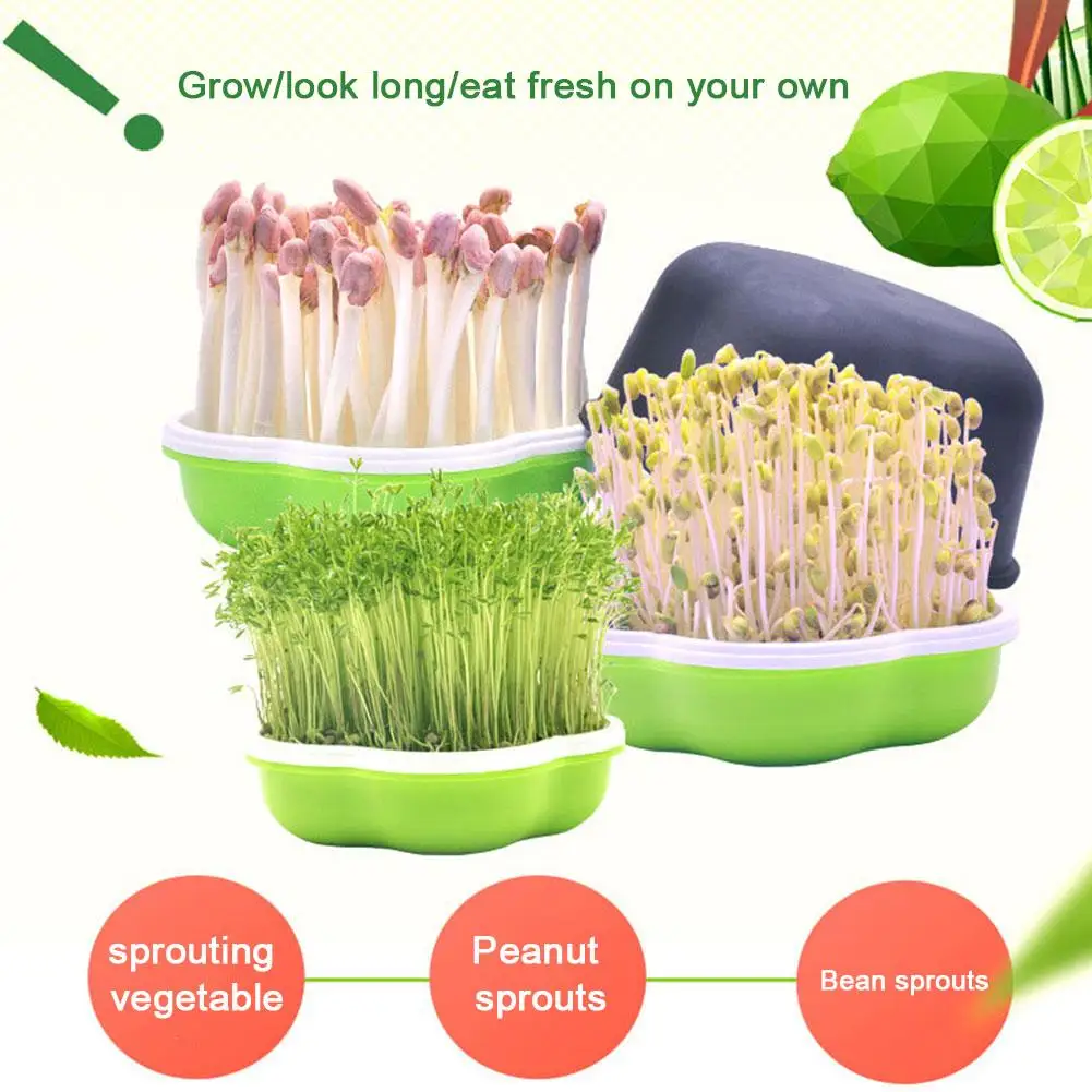 Seed Sprout Tray Garden Hydroponic Peanut Sprouting Box Pea Bean Seedling Sprouter Cat Grass Germination Soilless Planting Pot