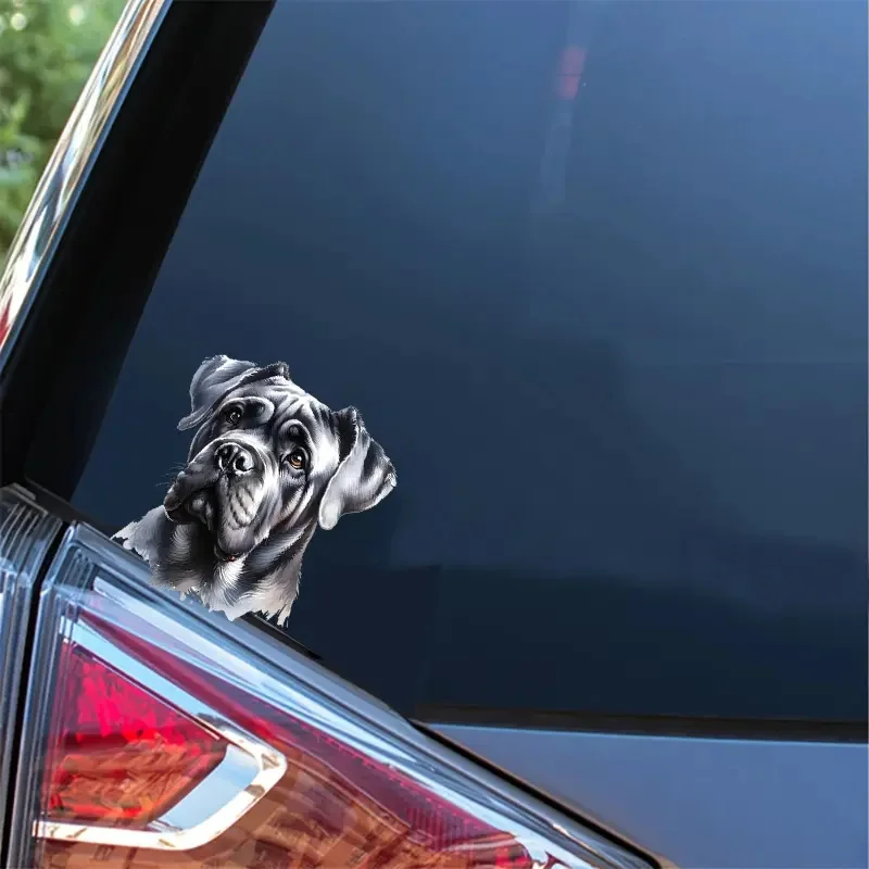 ملصق فينيل ذاتي اللصق من Cane Corso Dog، يستخدم لنوافذ السيارة، المصد، أجهزة الكمبيوتر المحمولة، ملحقات السيارة الخارجية المقاومة للماء #4