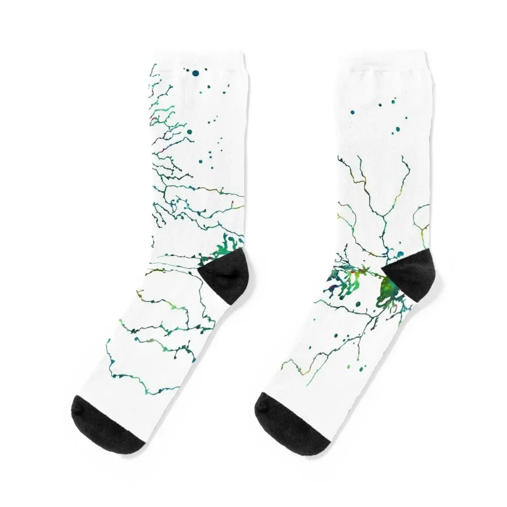 

Starburst Amacrine Cells and Bipolar Cells, Retina Anatomy Socks winter thermal aesthetic Socks Male Women's