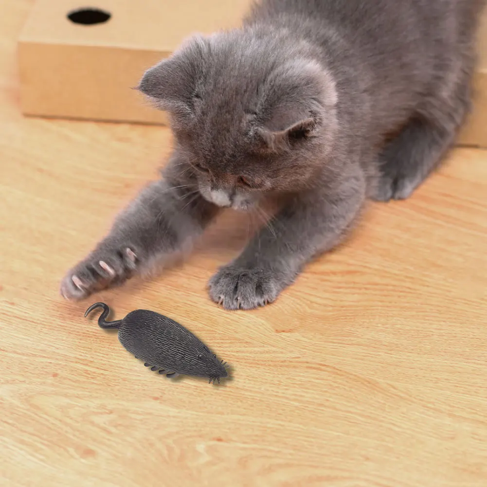 미니 동물 장난감 배터리 작동 진동 고양이 장난감 크리 에이 티브 전기 곤충 장난감 자동 고양이 곤충 장난감 애완 동물 용품