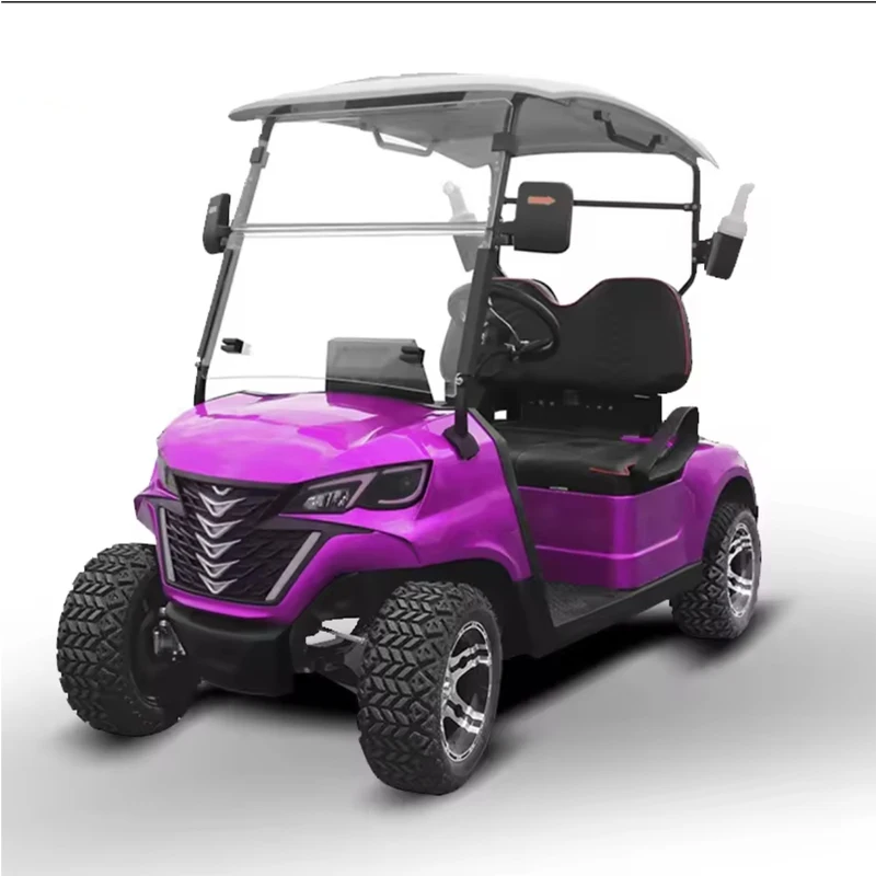 Wholesale Beautiful Durable Golf Cart Electric Utility Vehicle Golf Hunting Buggy 2  4Seater Golf Cart