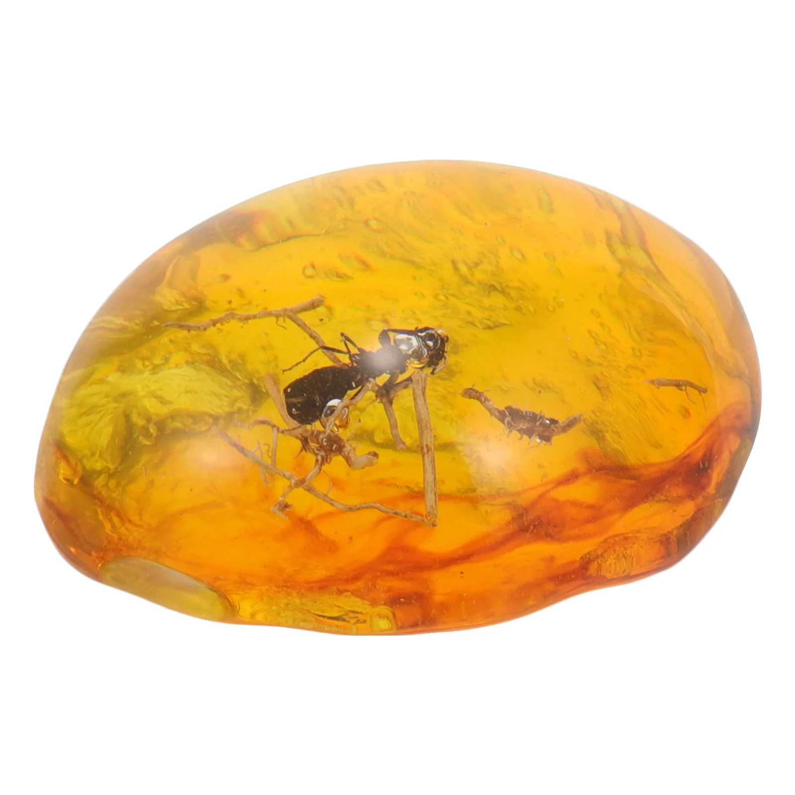 Amber Insect Specimen Decoration Pendant Ornament Stone Crystal for DIY Resin Insects