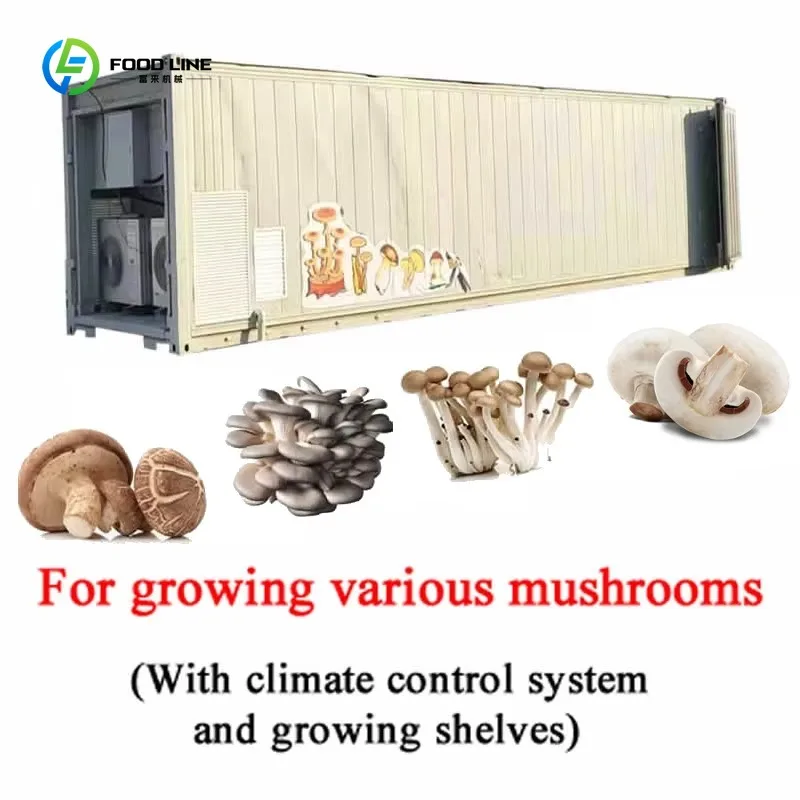 20ft 40ft Mushroom Growing Container Fruiting Chamber with Climate Controller Shelves Commercial Farming System Custom