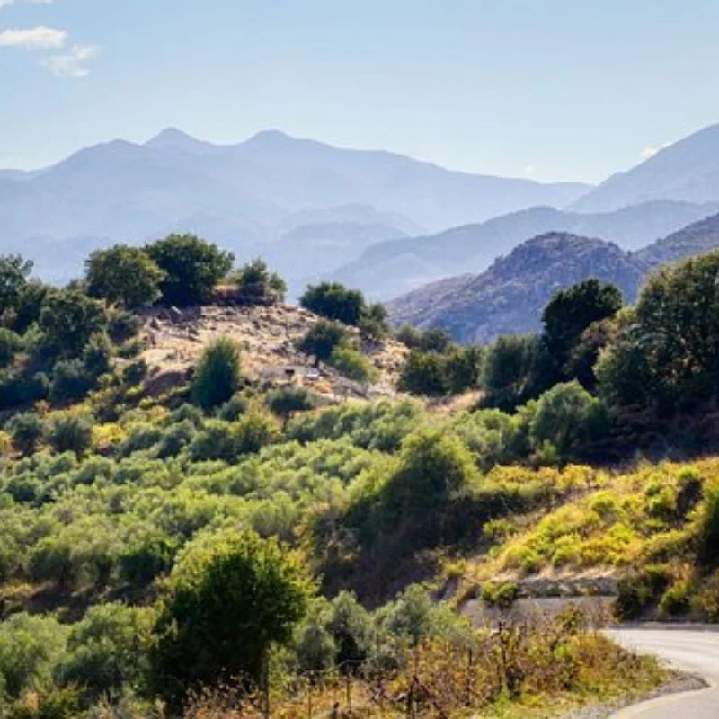 

Металлический прицеп, автомобильный бункер для Trxs 1/18 TRX4M, автомобильный прицеп, сверхмощный грузовик, детали для самостоятельного изготовления-AU41