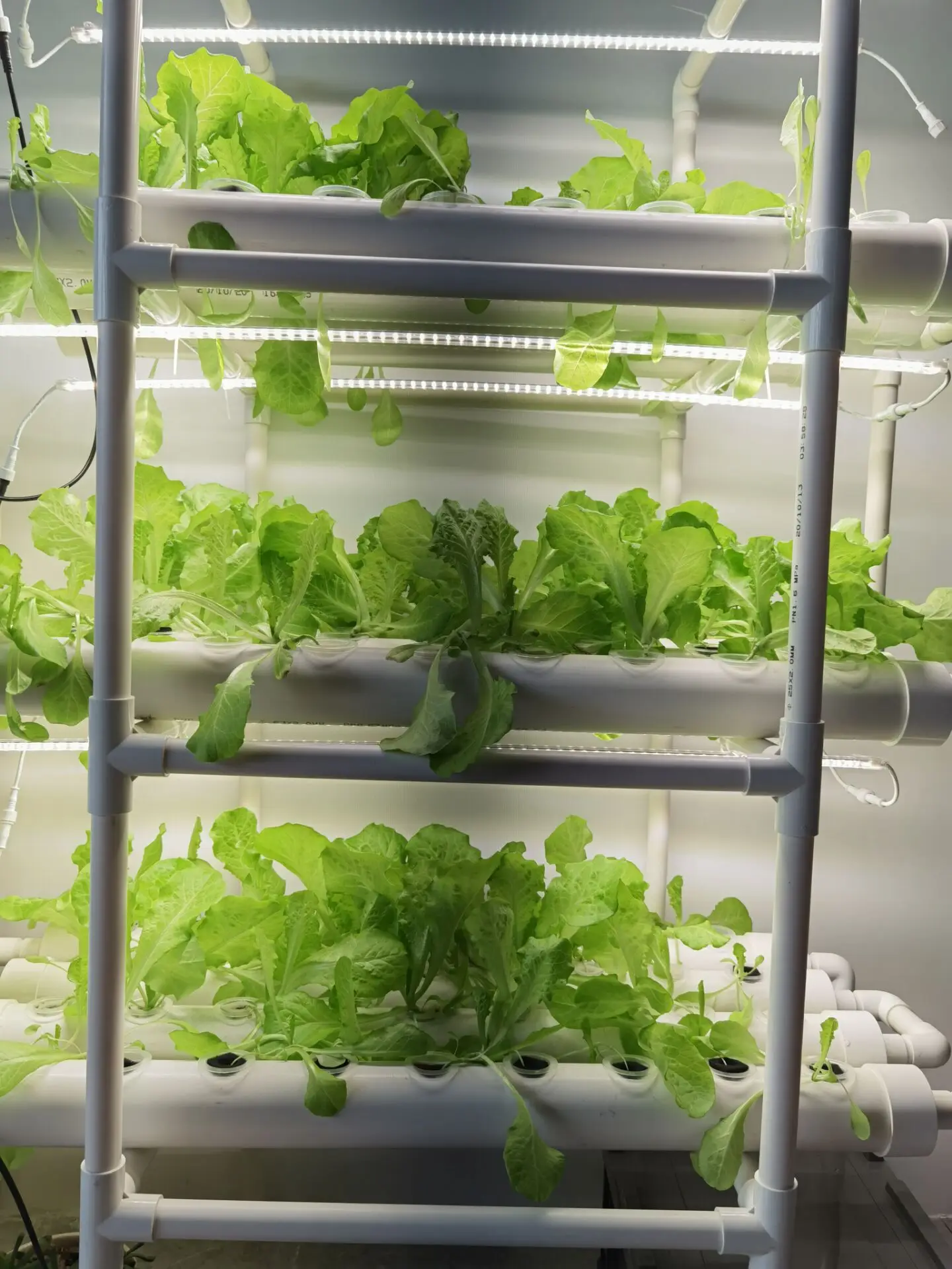 Factory Direct 3-layer Vertica - огляд і ціна Hydroponic Nft Channel