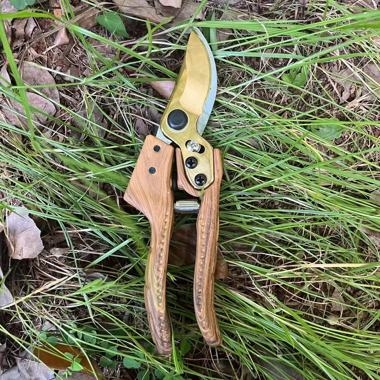노동 절약형 정원 가지치기 가위, 날카로운 가지 절단기 - Gardening Tools Sharp 리뷰 및 가격