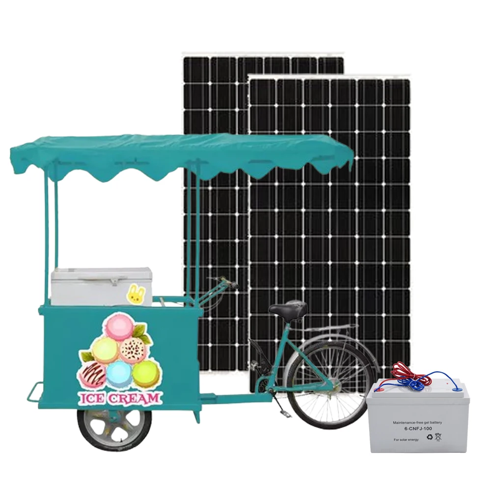 Solar Ice Cream Bike with Battery Freezer 158L Ice Cream Tricycle Cart Ice Cream Deep Cold Storage Room Solar Freezer