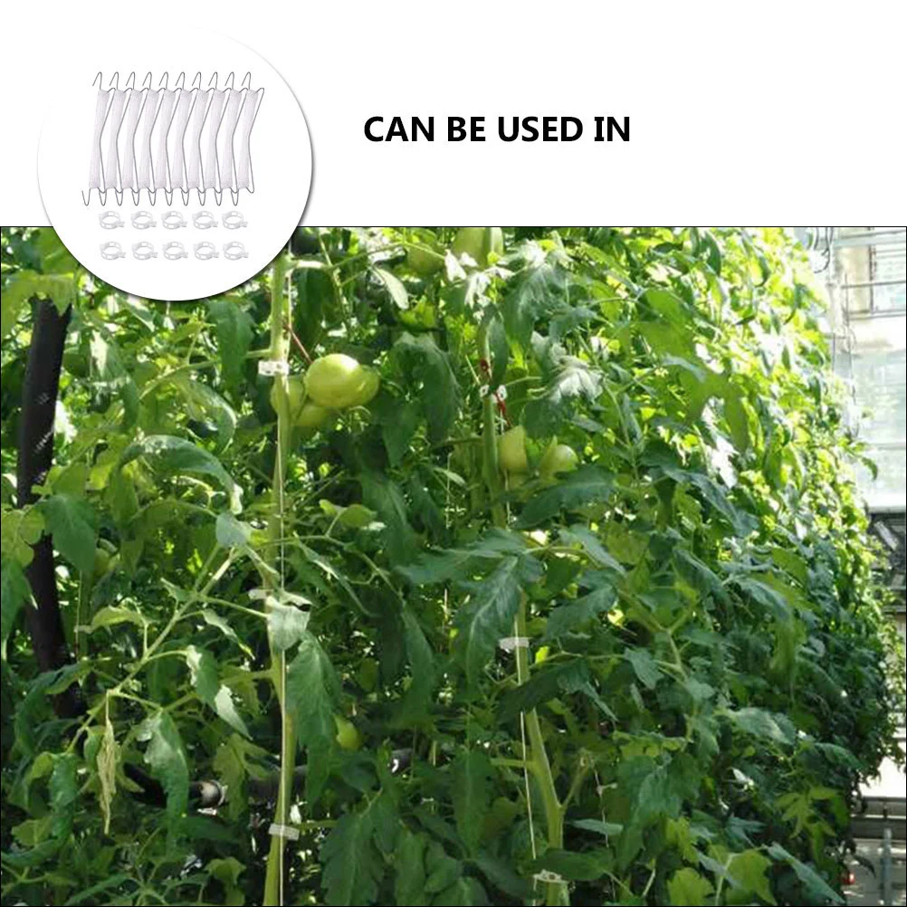 

40pcs Tomato Cucumber Hooks 10M Rope Vine Support Weather Resistant Plant Growth Trellis Tools Cherry Tomato Hanging Holder
