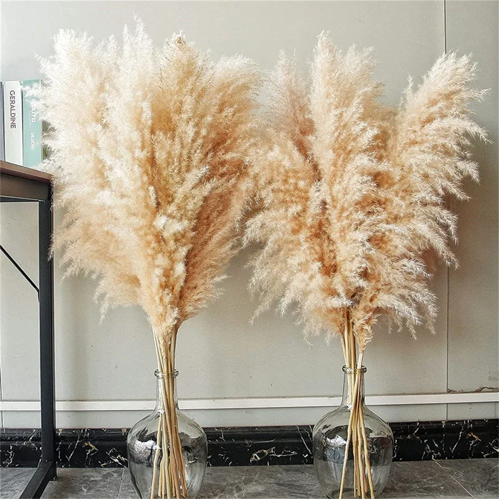 80-120cm Pampas Grass Large Tall xxl Fluffy Pampas Dried Flowers Boho Decor Plant for Vase Home Wedding Decor Flower Arrangement