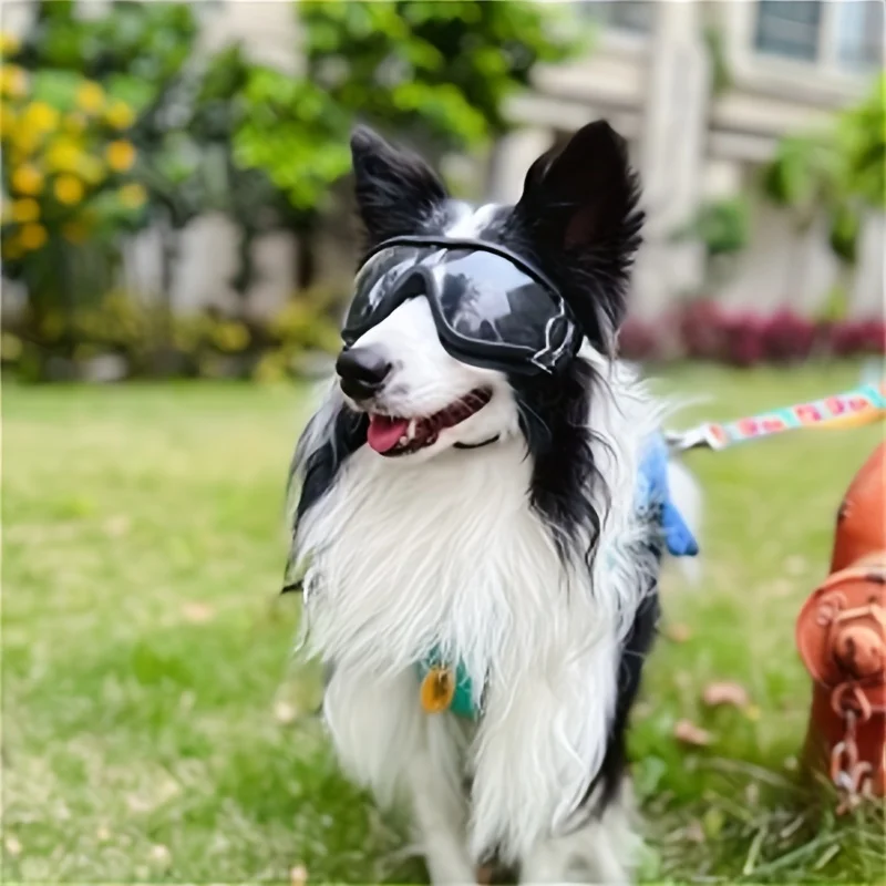 Eye Glasses for Dogs, Windproof and UV Resistant Pet Headgear, Adjustable Strap Windproof Dog Goggles, Suitable for Outdoor Use