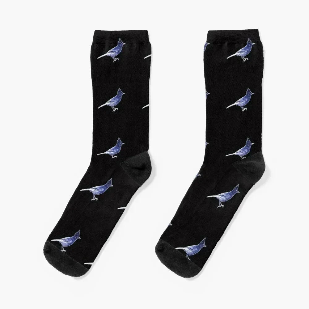 

Steller's Jay Blue White Print Socks kawaii new in's Climbing Lots Girl'S Socks Men's
