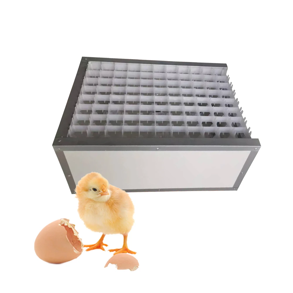 Egg Tester Machine with Lights Detect Fertilization of Eggs Poultry Equipment with Bulbs