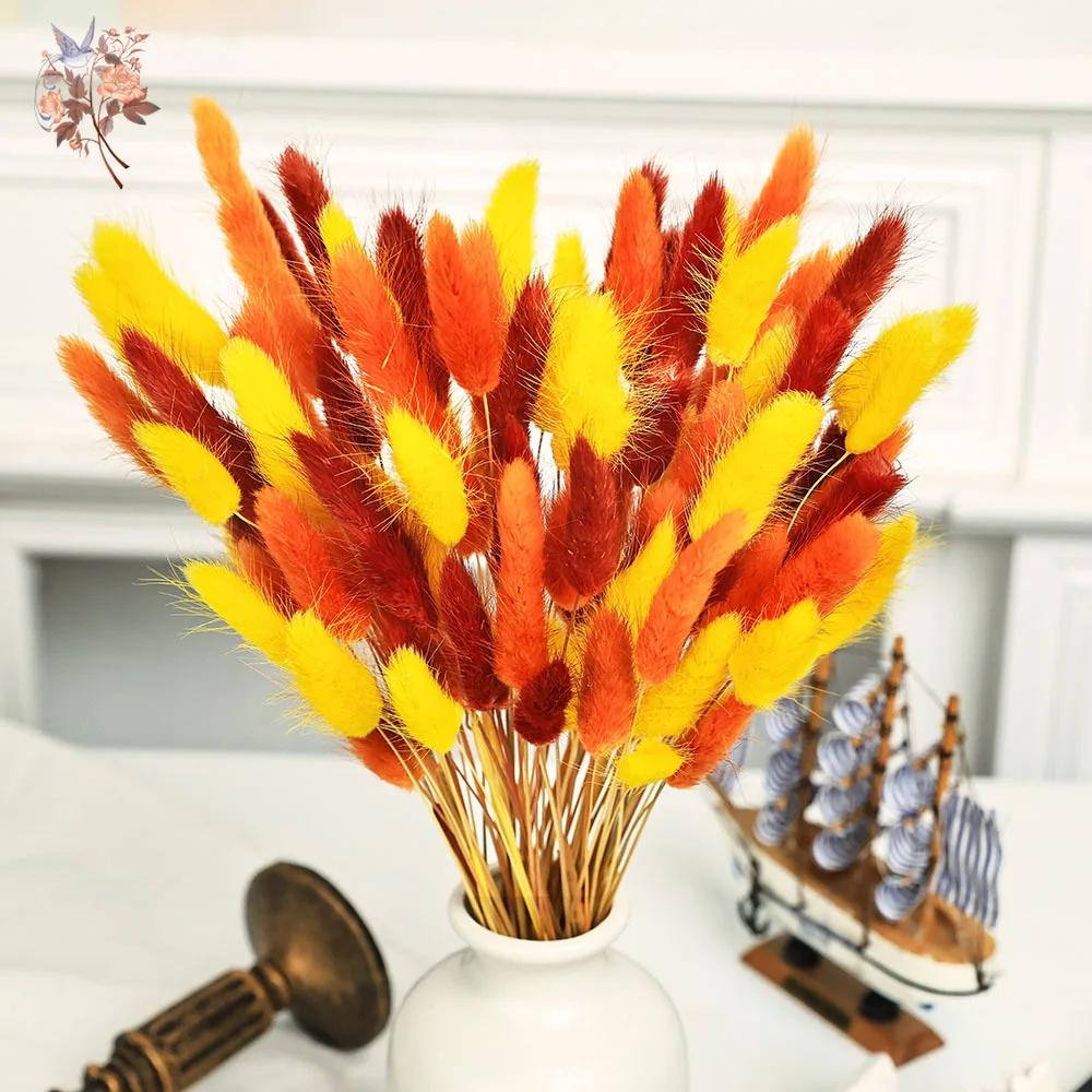 90 Stems Colorful Rabbit Tail Grass Natural Dried Flower Home Vase Decor for DIY Craft Lagurus Ovatus Plants Wedding Arrangement - Image 2