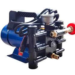 Agricultural Electric High Pressure Pump 12V/220V Dosing Pump Spray Watering Car Washing Irrigation Double Cylinder Plunger