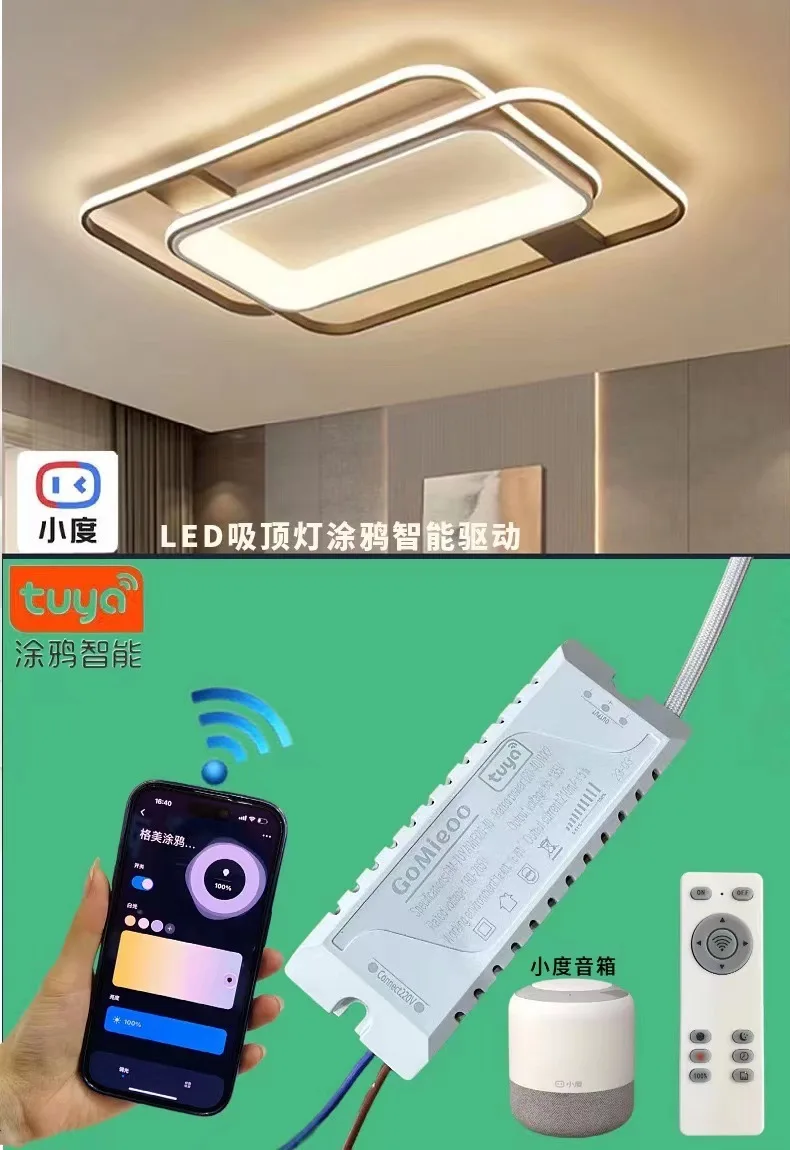 AC220V 2.4G Intelligent LED Driver RF Remote Control TUYA APP12-24WX2 80-120WX2 Dimming Lighting Transformer