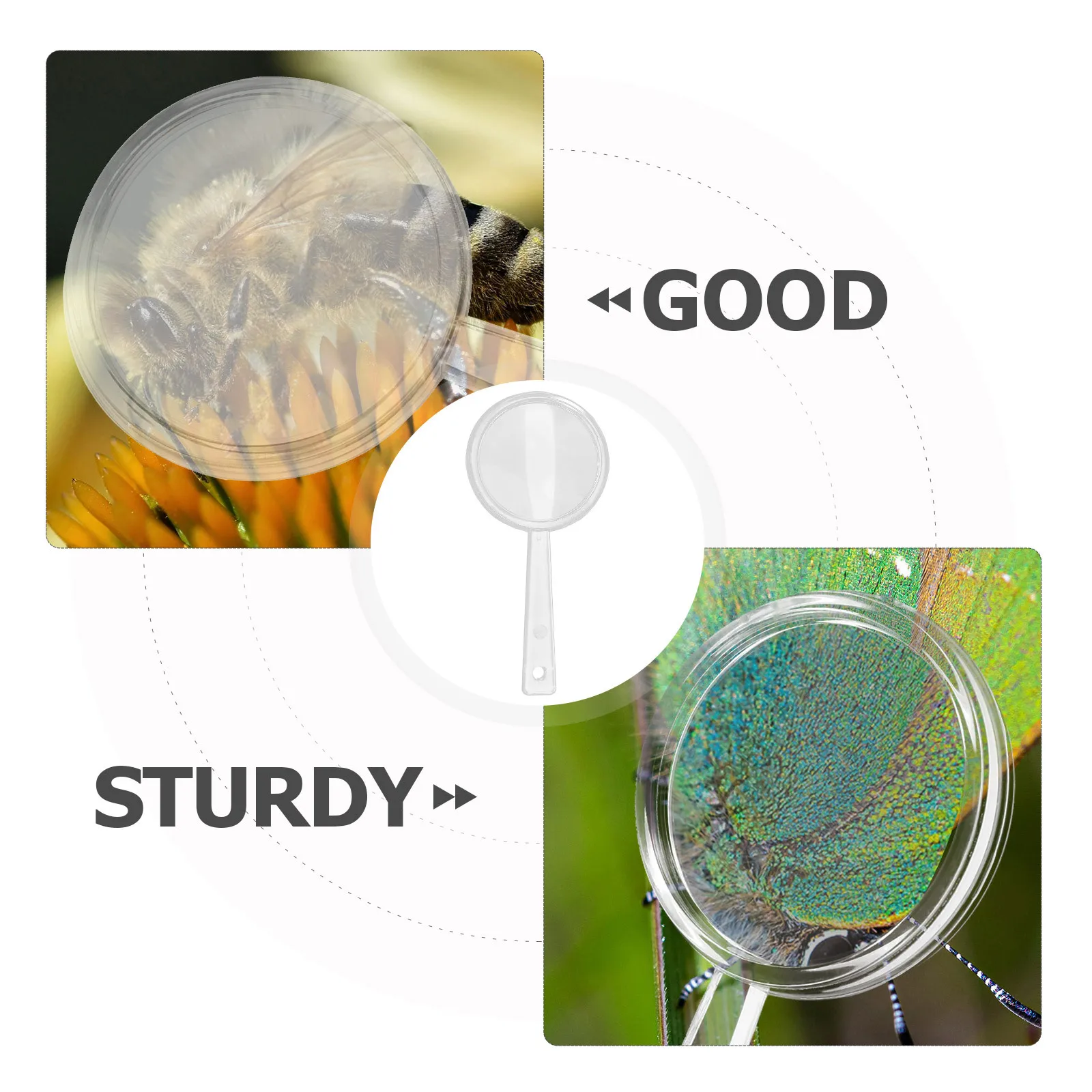 Loupe d'exploration pour enfants, 20 pièces, loupe portative, outil de lecture d'observation biologique, exploration scientifique pour enfants