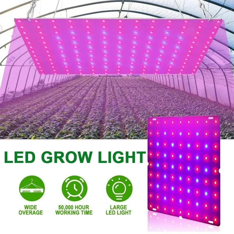 Luces Led de cultivo de espectro completo para plantas de interior, lámpara hidropónica de 1000W y 2000W, Bombilla Phyto, Panel de tienda de cultivo de vegetales y semillas de flores para invernadero