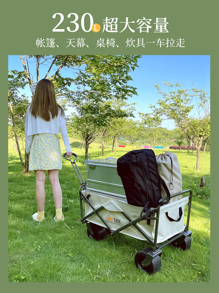 Outdoor Camping Cart Foldable Hand Push Picnic Car Camp Trailer Trolley Fishing Car