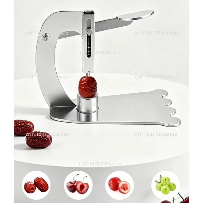 Stainless Steel Fruit Seed Remover, Core Pitter For Jujube Hawthorn Longan Olive Fruit