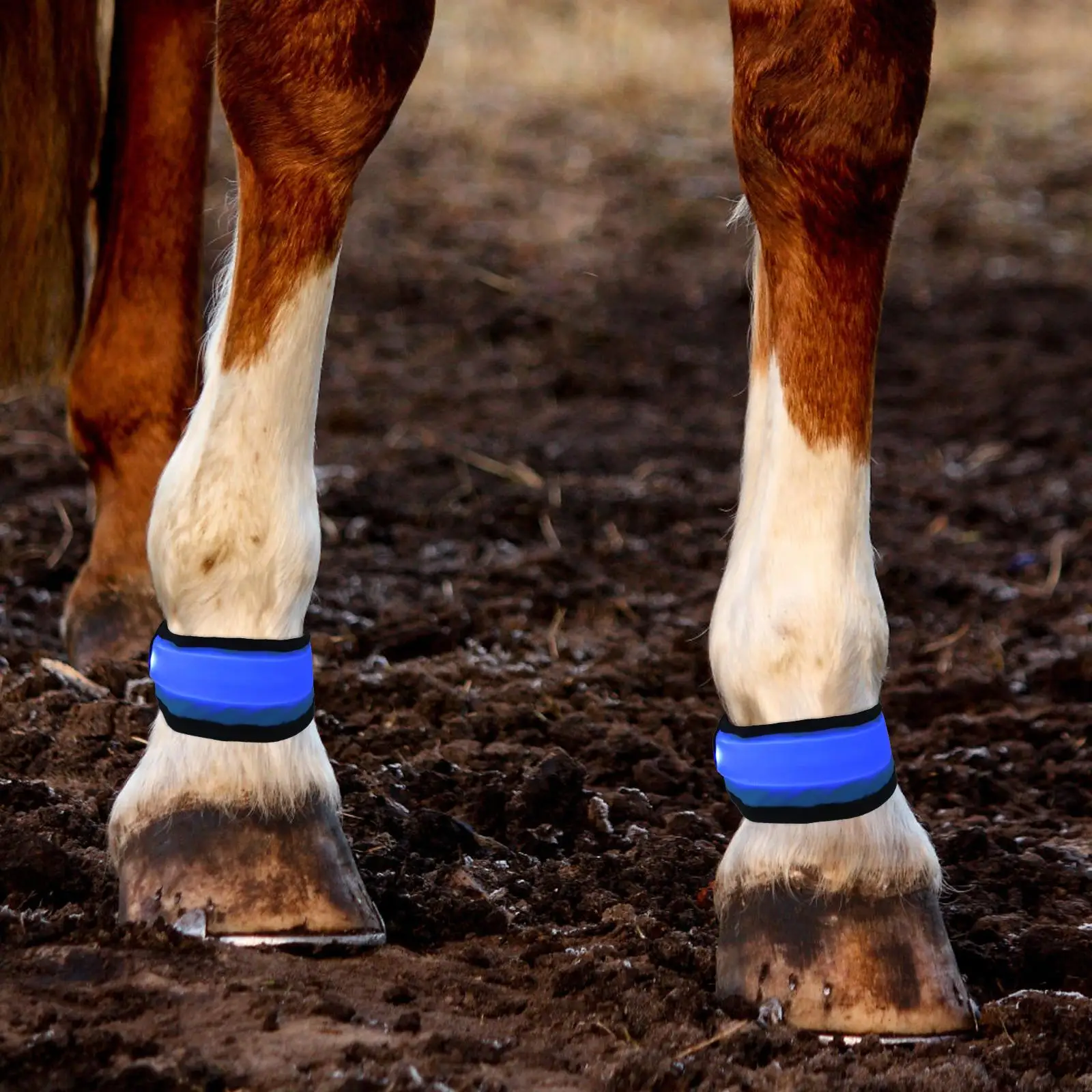 4 Pcs Horse Ankle Strap Leggings Fixed Straps Riding Supplies Cloth LED Bands Night Run