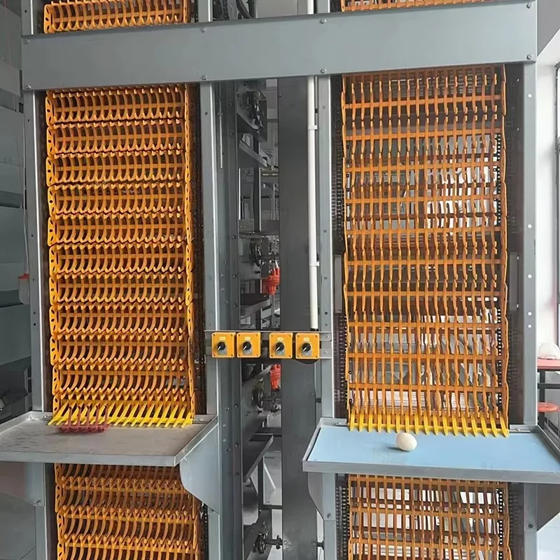 Customizable Chicken Poultry Farming Automatic Equipments Farm Building House Feeder Breeding Pan Feeding System Feeder