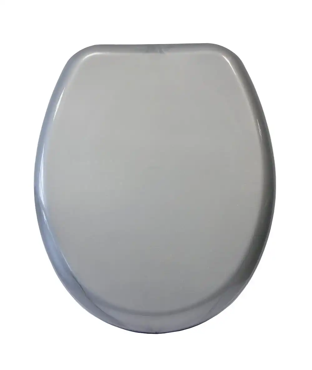 Iris Metallic Toilet Toilet