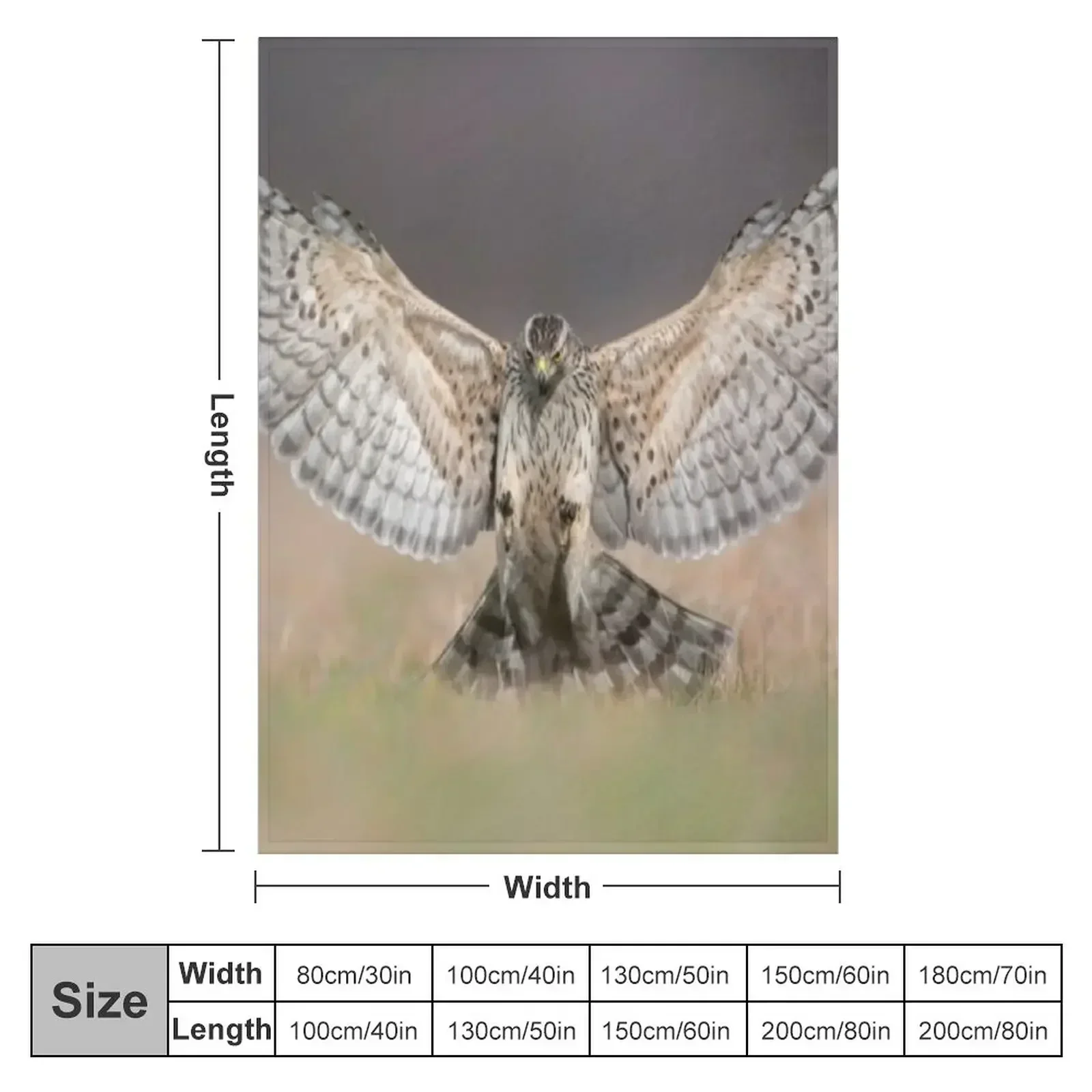 Northern goshawk (Accipiter gentilis) attacking Throw Blanket Summer Beddings Plush Quilt manga Blankets