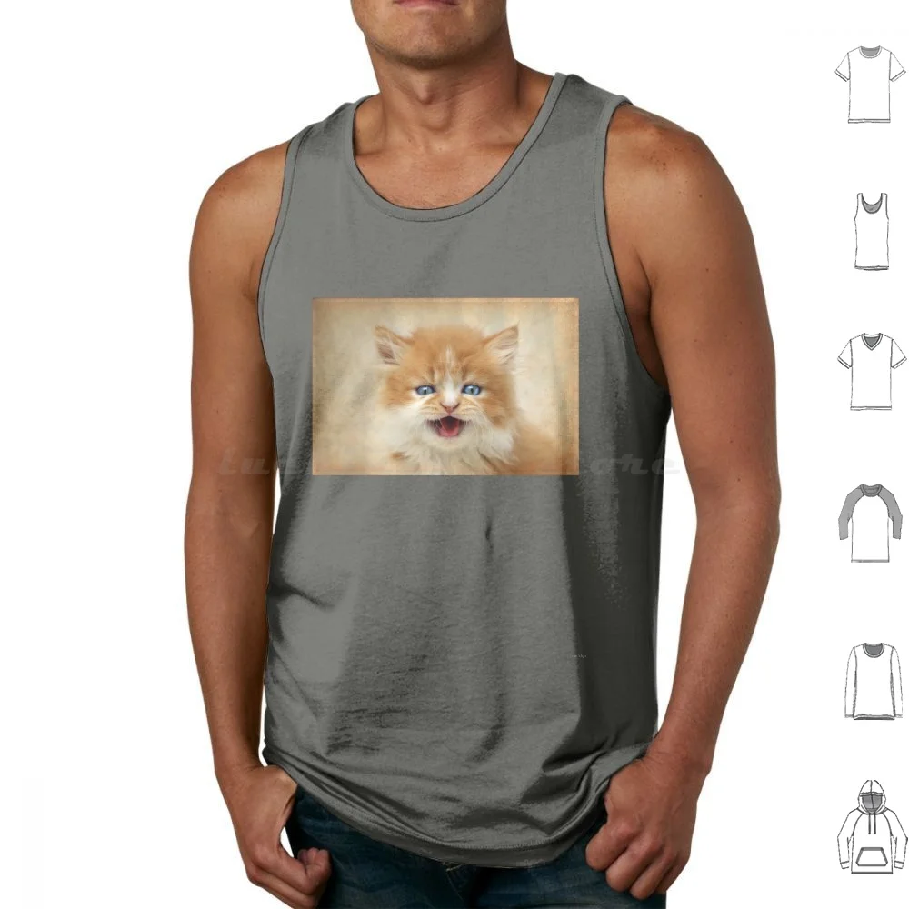 

Where's My Dinner  !! Tank Tops Vest Sleeveless Persian Cat Kitten Ginger Blue Eyes Miaow Fluffy Portrait Pet Micklyn Cute