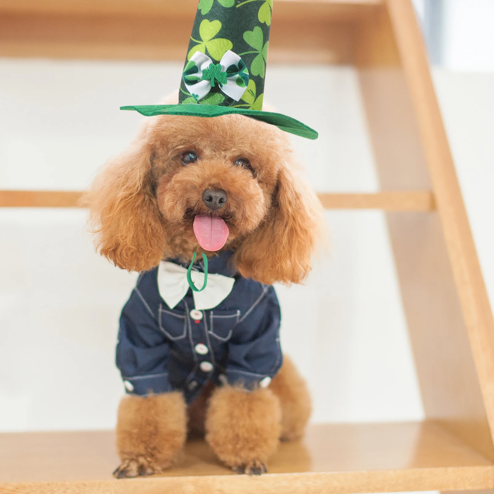 

s Pet Costume Four Leaf Clover St Patrick's Day Cat Cosplay Cotton Small Dog Hat Large Dog Hat Adjustable Size Pet Supplies