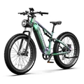 48V20AH 750W WITH APP(GREEN)