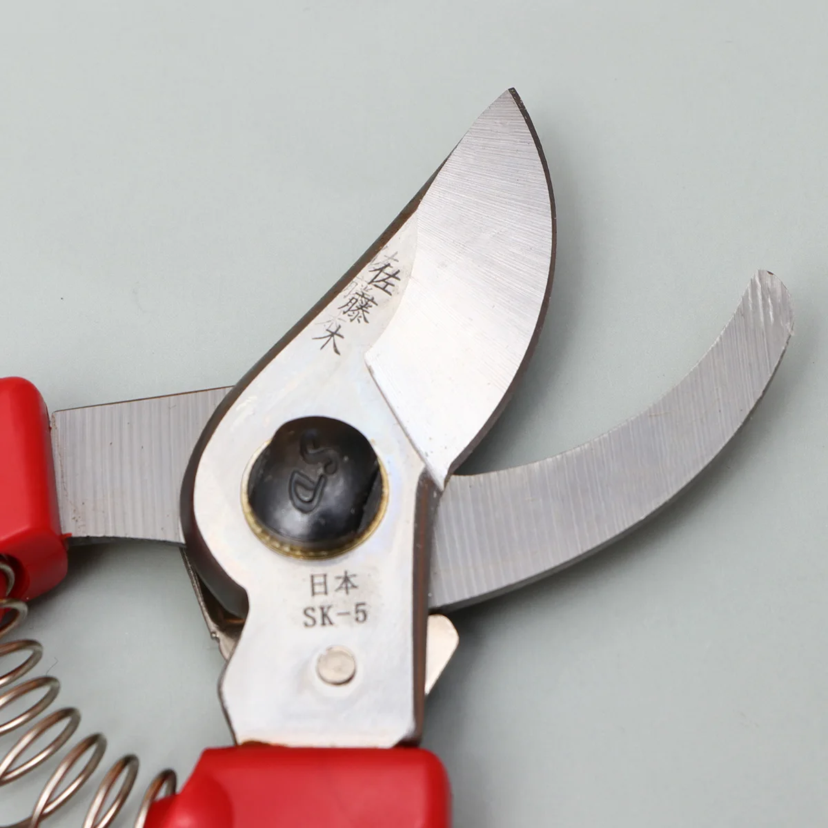 

Garden Pruning Shears Stainless Steel Sharp Fruit Tree Scissors For Branches Hedges Orchards Trimming Tool Gardening