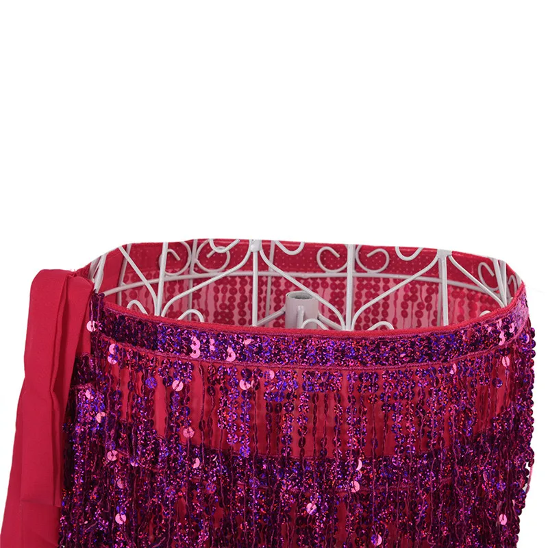 Belly Dance Costume Sequin Tassel Fringe Hip Scarf Belt Waist Wrap Skirt