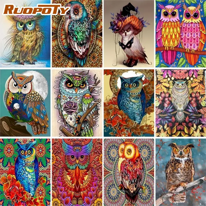 

RUOPOTY DIY Painting By Numbers Kits 60x75cm Frame Acrylic Paint By Numbers For Adults Colorful Owl Modern Wall Home Decor