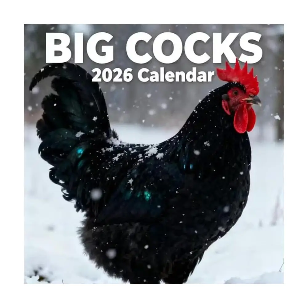 

Fun Chicken Calendar 2026 Whimsical Rooster Theme Lucky Decor Daily Planner Home Office Organizer Tool