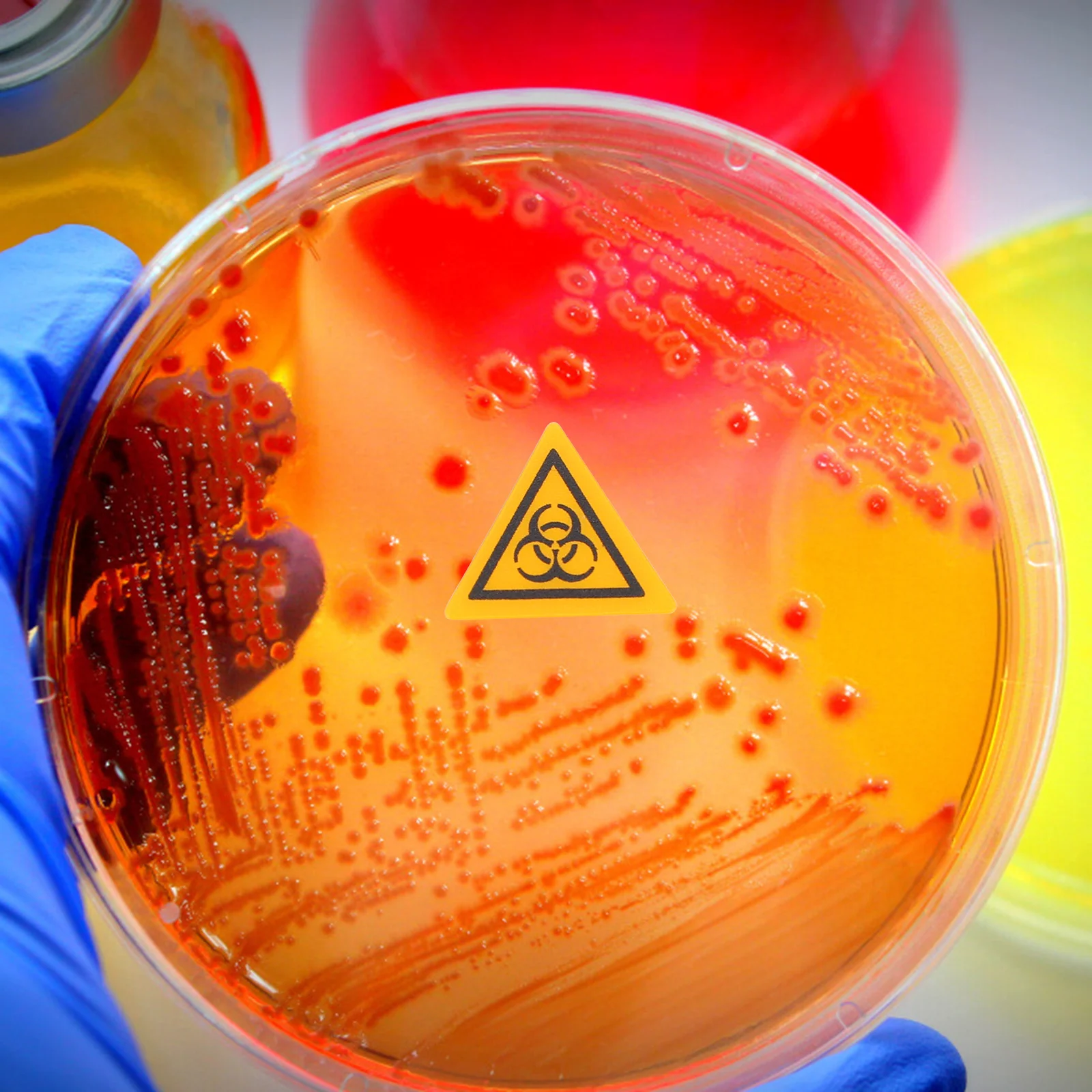 10Pcs Warning Label Sticker Easy to Carry Lab Safety Decal for Daily Use Labs Caution Label