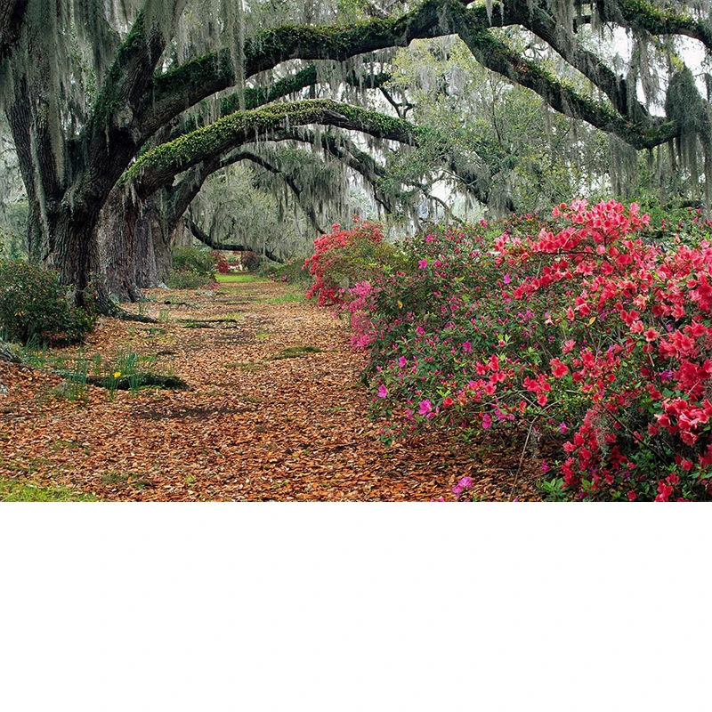 

Adjustable 5Pcs Sectional Front Spoiler Lip For BMW 4 Series G22 G23 G26 2020-2026 Front Bumper Splitter Sport Body Kit