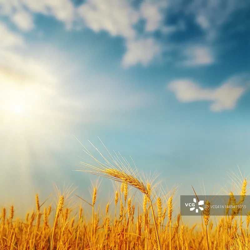 

GAONENG GNB LiHV 6S 22.8V 1850mAh 120C lithium battery with XT60 connector, suitable for FPV drones and quadcopters.