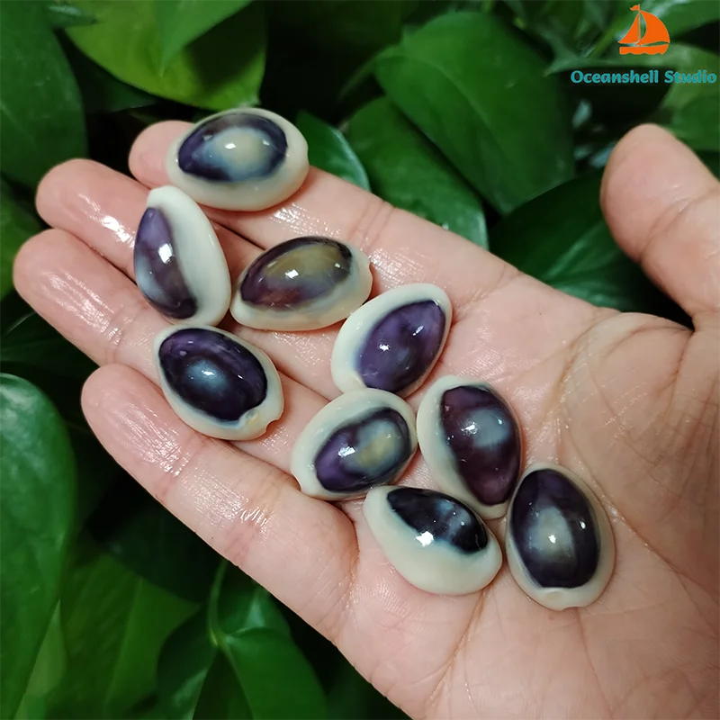 20 PC Blue-eyed Cowrie Sea Shells Real Purple Conch For Specimen Creative DIY Jewelry Nautical Fish Tank Aquarium Landscape