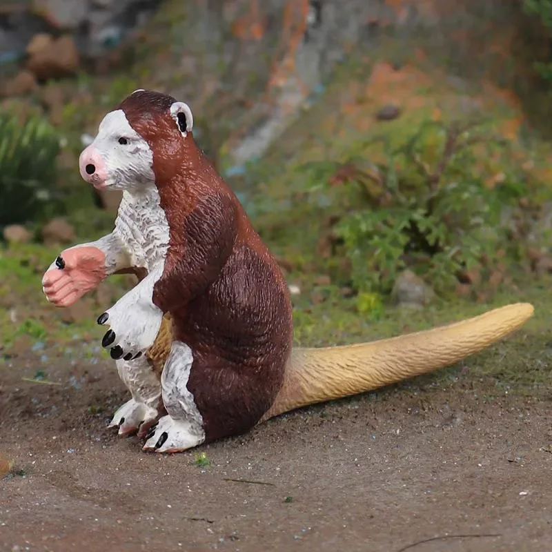 Jouets miniatures d'animaux, figurines d'action, furet, polecat, terre, over, kangourou