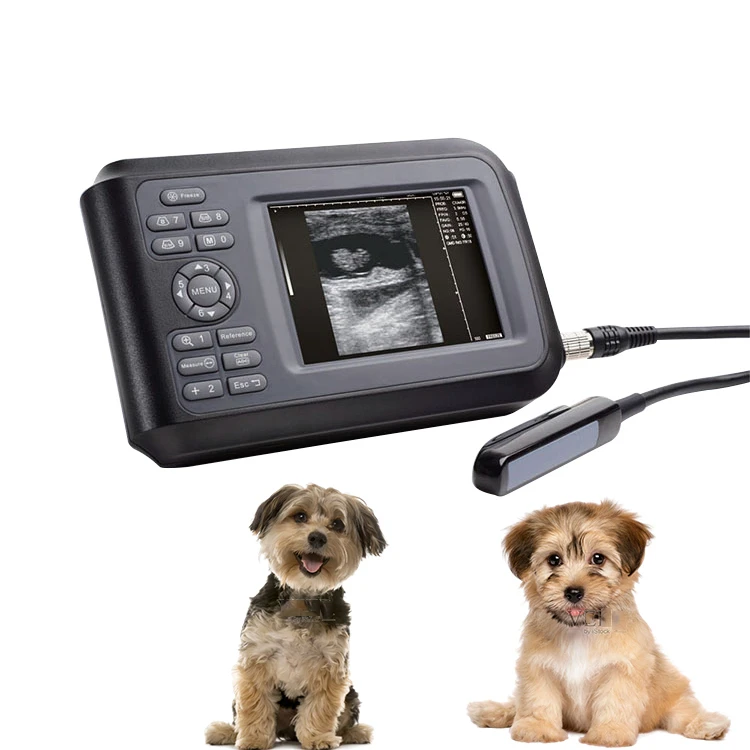 Handheld veterinary ultrasound machine Animal diagnostic veterinary instrument